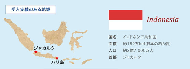 インドネシア